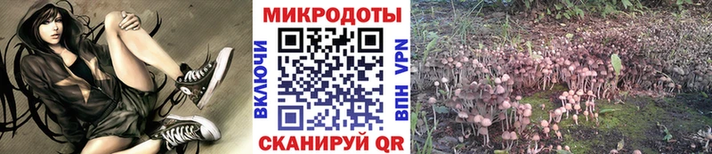 закладка  Игра  Псилоцибиновые грибы мухоморы 